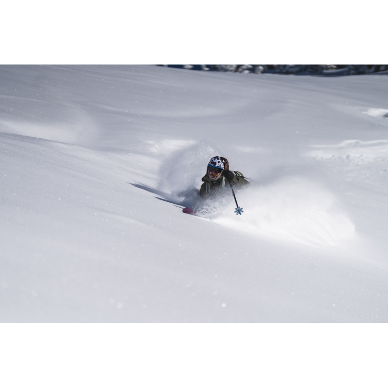 Expedition Ski Poles – Black Diamond Europe